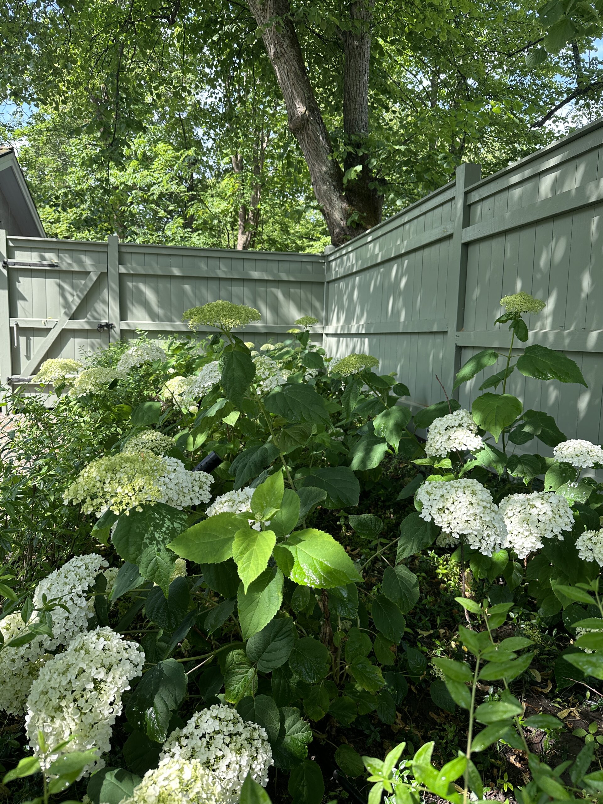 Trädgårdsdesign Djursholm